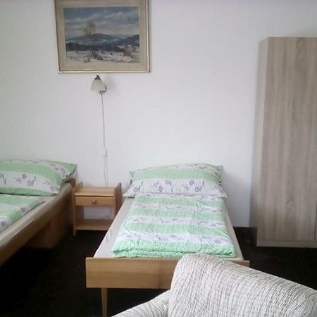Apartment Vysocina Svratka Dış mekan fotoğraf