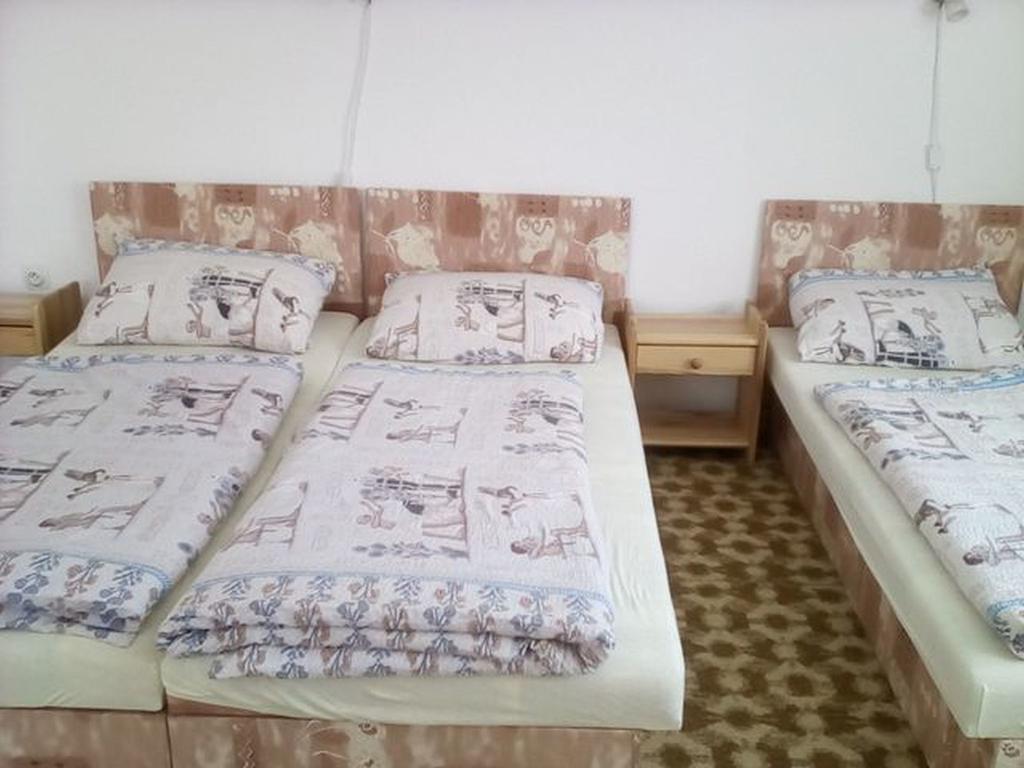 Apartment Vysocina Svratka Dış mekan fotoğraf